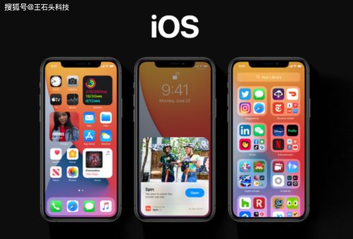iphone发布京东啥时候有
