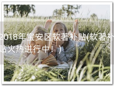 2018年宝安区软著补贴(软著补贴火热进行中！)