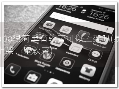 app很简单有软著可以上架吗(易上架，留软著)