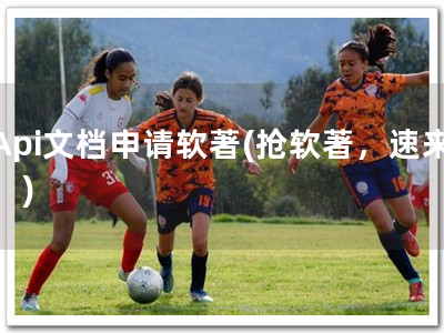 Api文档申请软著(抢软著，速来！)