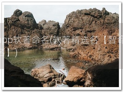 app软著命名(软著精选名【智命名】)
