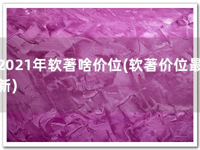 2021年软著啥价位(软著价位最新)