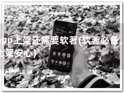 app上架还需要软著(软著必备，上架安心)