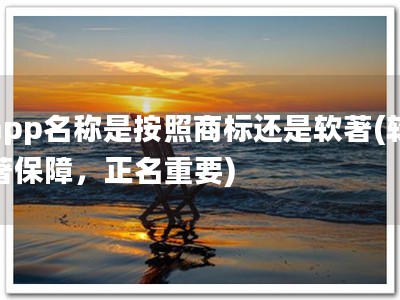 app名称是按照商标还是软著(软著保障，正名重要)