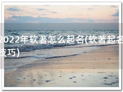 2022年软著怎么起名(软著起名技巧)
