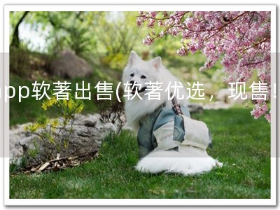 app软著出售(软著优选，现售！)