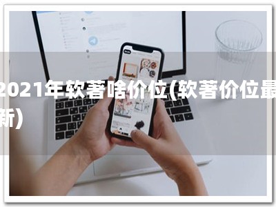 2021年软著啥价位(软著价位最新)