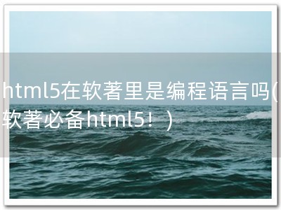 html5在软著里是编程语言吗(软著必备html5！)