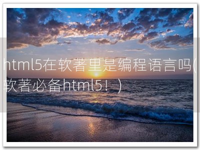 html5在软著里是编程语言吗(软著必备html5！)