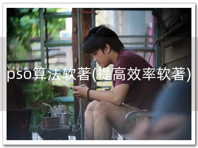 pso算法软著(提高效率软著)