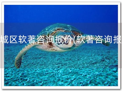 上城区软著咨询报价(软著咨询报价)