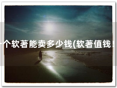一个软著能卖多少钱(软著值钱！)