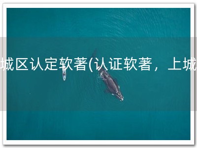 上城区认定软著(认证软著，上城区)
