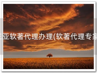 三亚软著代理办理(软著代理专家)