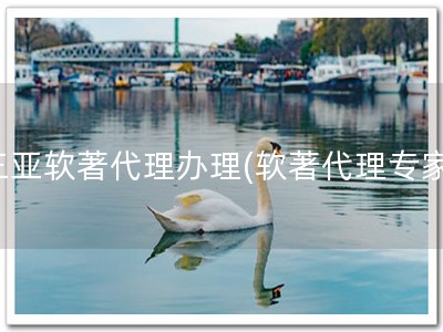 三亚软著代理办理(软著代理专家)