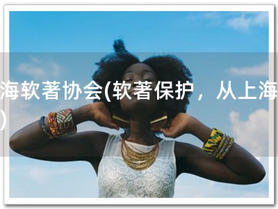 上海软著协会(软著保护，从上海开始)