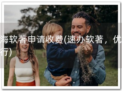 上海软著申请收费(速办软著，优惠进行)