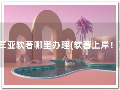 三亚软著哪里办理(软著上岸！)