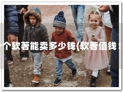 一个软著能卖多少钱(软著值钱！)