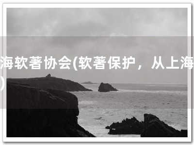 上海软著协会(软著保护，从上海开始)
