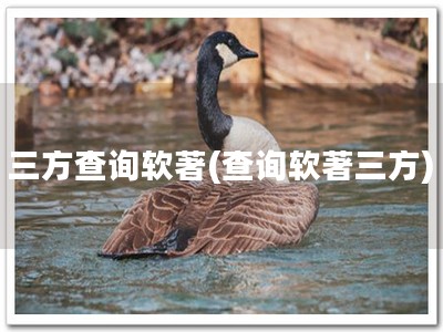 三方查询软著(查询软著三方)
