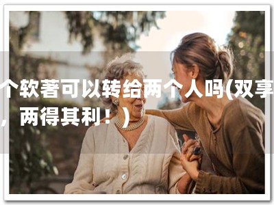 一个软著可以转给两个人吗(双享软著，两得其利！)