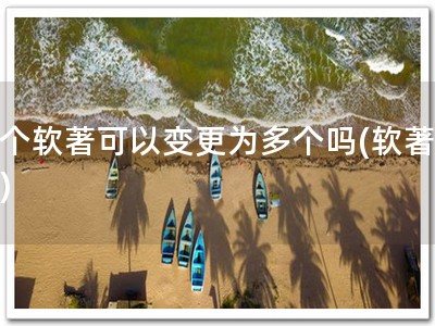 一个软著可以变更为多个吗(软著分割)