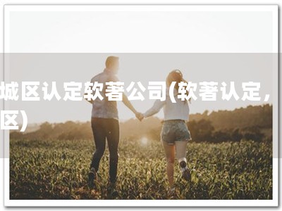 上城区认定软著公司(软著认定，上城区)