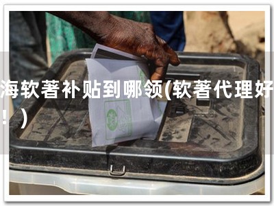 上海软著补贴到哪领(软著代理好选择！)