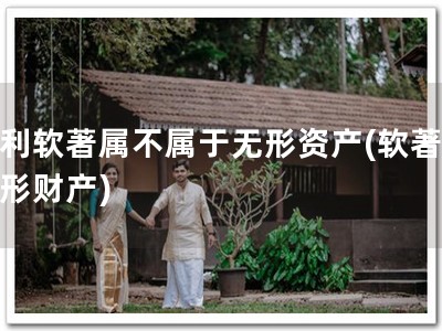 专利软著属不属于无形资产(软著是无形财产)