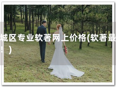 下城区专业软著网上价格(软著最优价！)
