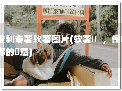 专利专著软著图片(软著專獨，保護你的創意)