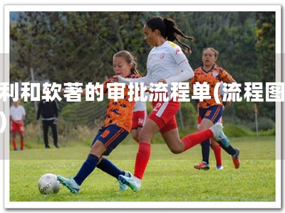 专利和软著的审批流程单(流程图解析)