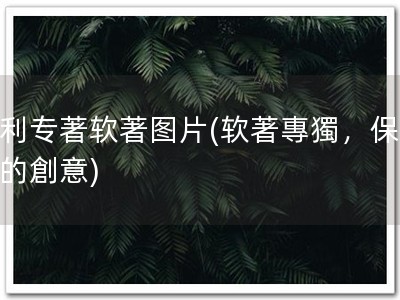 专利专著软著图片(软著專獨，保護你的創意)