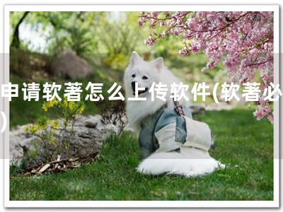 不申请软著怎么上传软件(软著必备！)