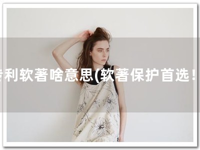 专利软著啥意思(软著保护首选！)