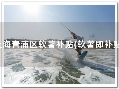 上海青浦区软著补贴(软著即补贴)