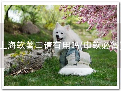 上海软著申请有用吗(申软必备)
