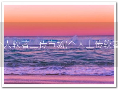 个人软著上传市场(个人上传软著)