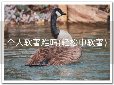 个人软著难吗(轻松申软著)