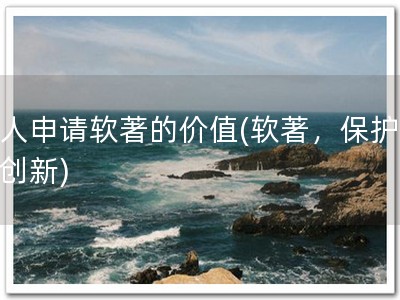 个人申请软著的价值(软著，保护你的创新)