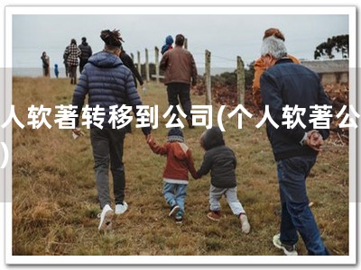 个人软著转移到公司(个人软著公司化)