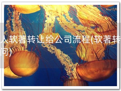 个人软著转让给公司流程(软著转让顾问)