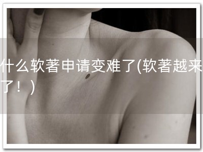 为什么软著申请变难了(软著越来越难了！)