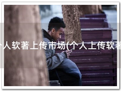 个人软著上传市场(个人上传软著)