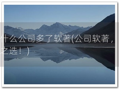 为什么公司多了软著(公司软著，必备之选！)