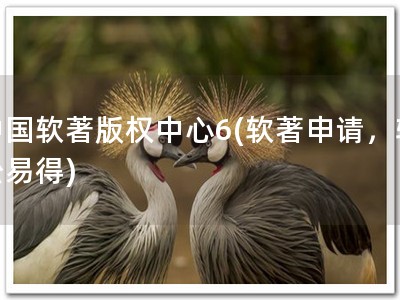 中国软著版权中心6(软著申请，轻松易得)
