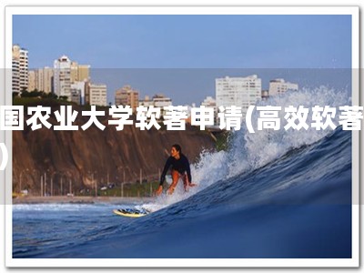 中国农业大学软著申请(高效软著申请)