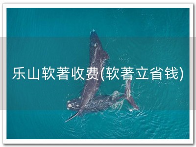 乐山软著收费(软著立省钱)