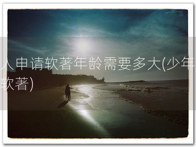 个人申请软著年龄需要多大(少年可申软著)